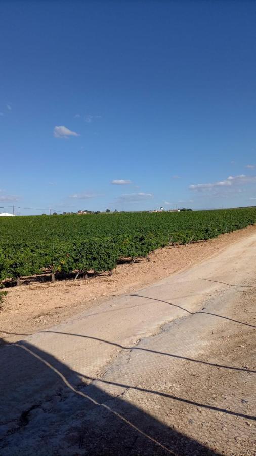 Alojamiento Rural Casa Los Arenales Córdoba Exteriör bild